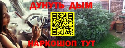СК Шелехов
