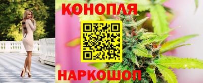 СК Шелехов