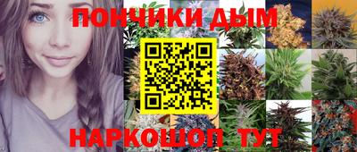 гидропоника Шахты